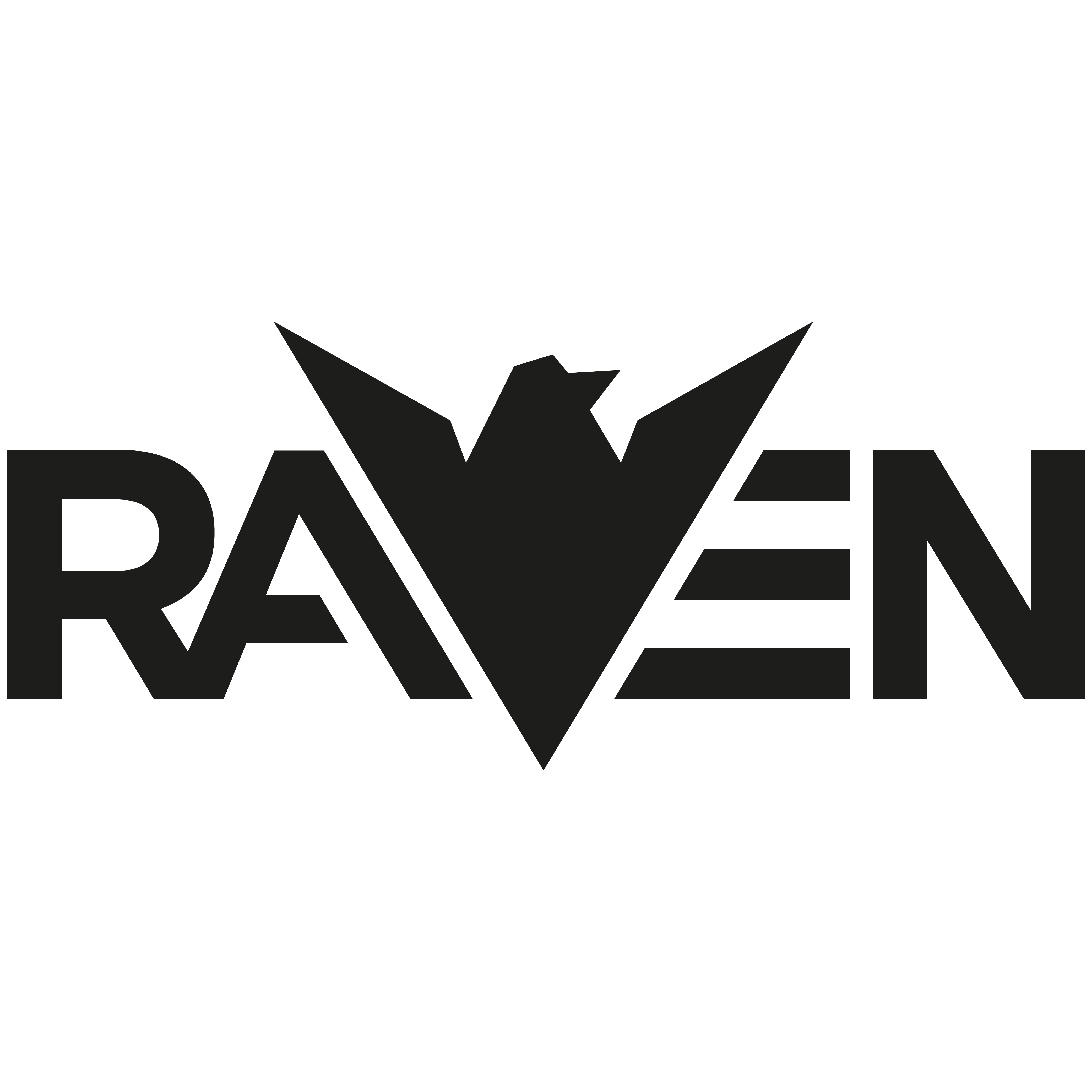 Raven_Kreslicí plátno 1.png